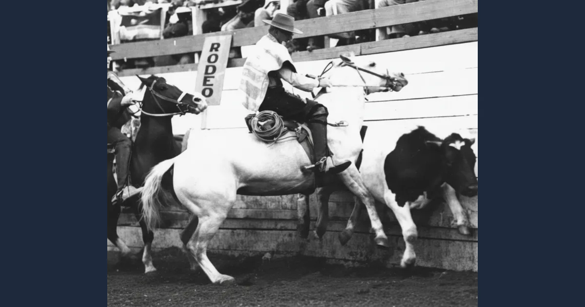 Don Chanca - Restaurada